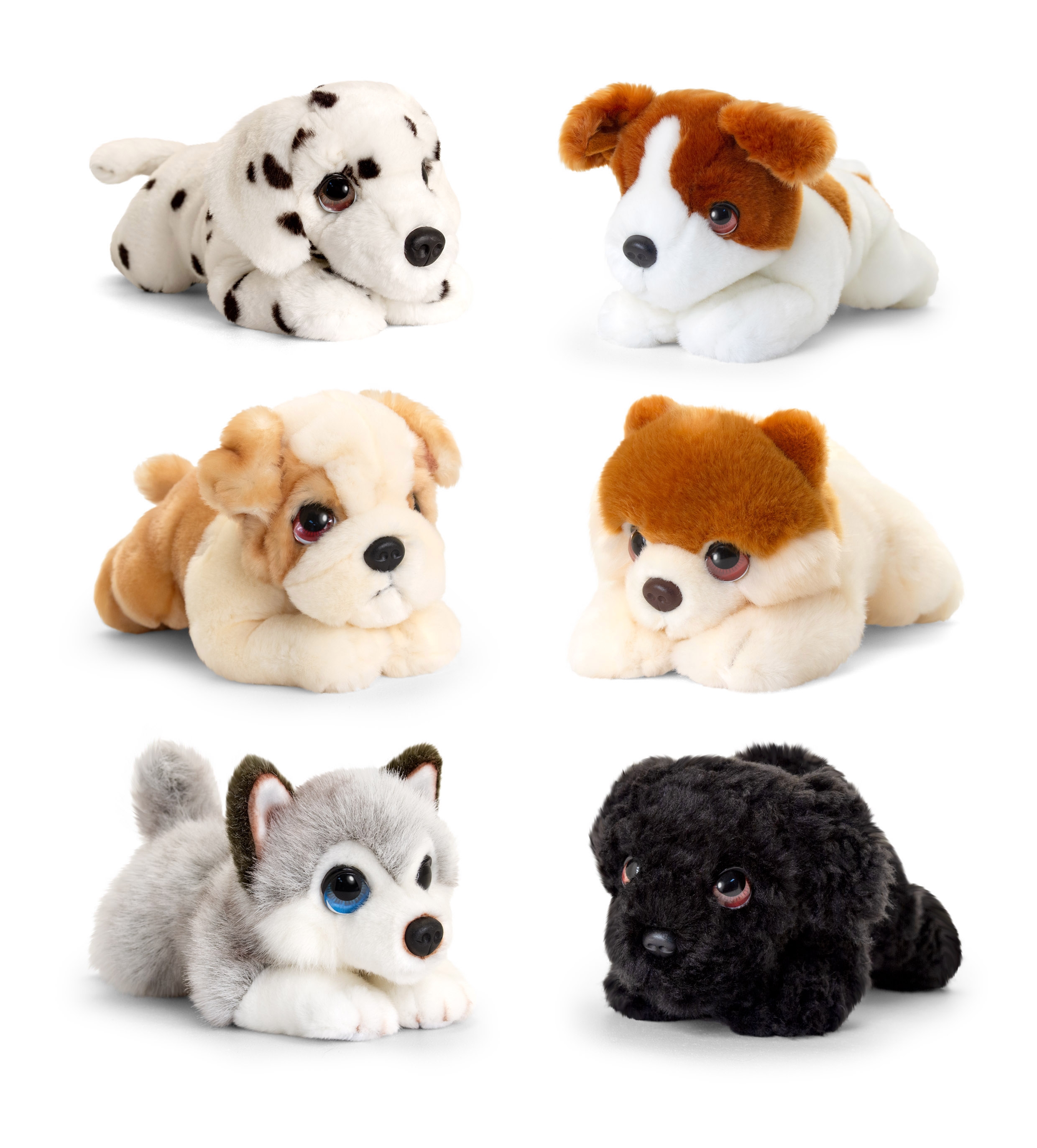 CUDDLE PUPPIES,Laying 6 Asst. 25cm (Keel Toys) [Packs Only]