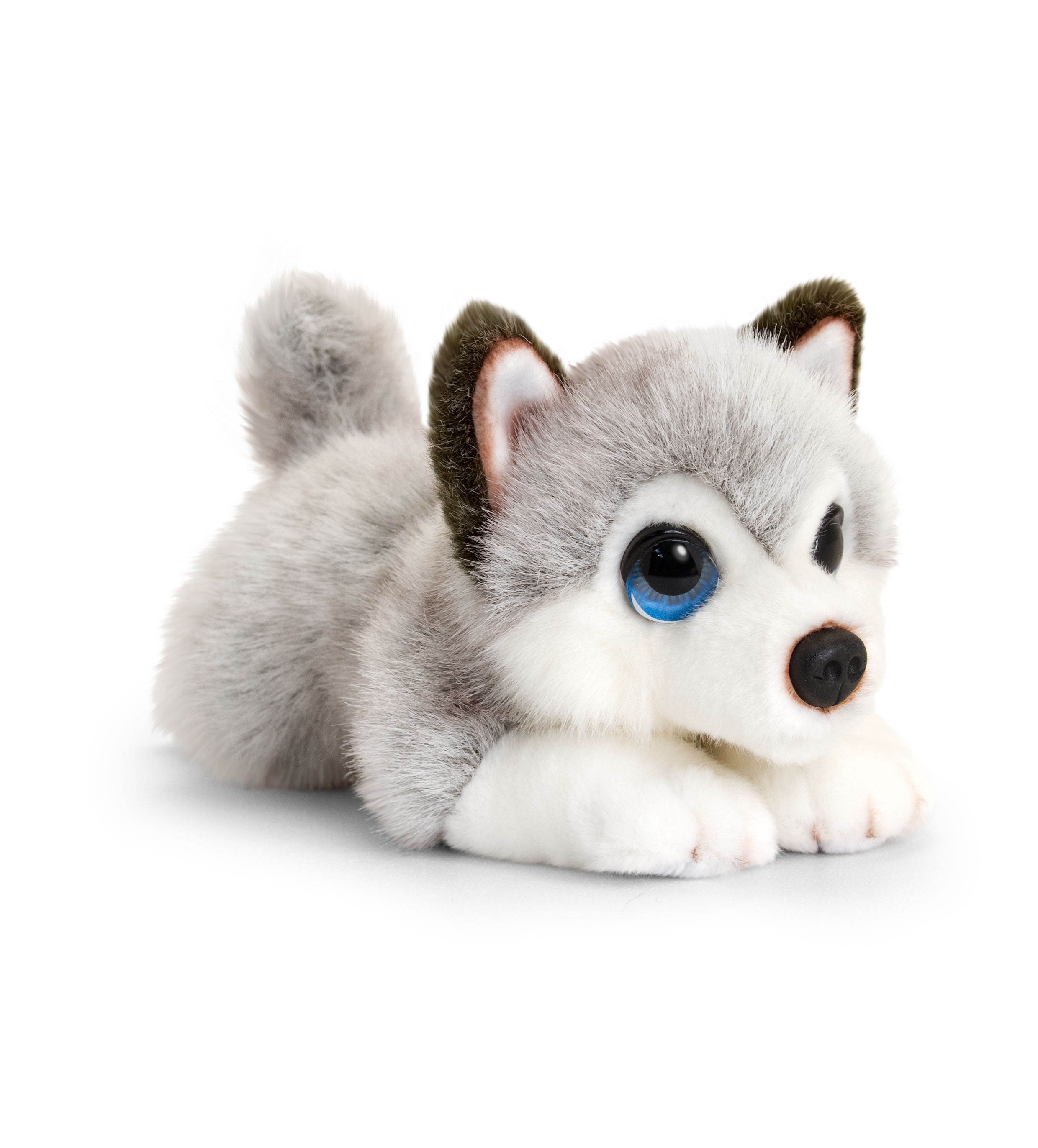 CUDDLE PUPPIES,Laying 6 Asst. 25cm (Keel Toys) [Packs Only]