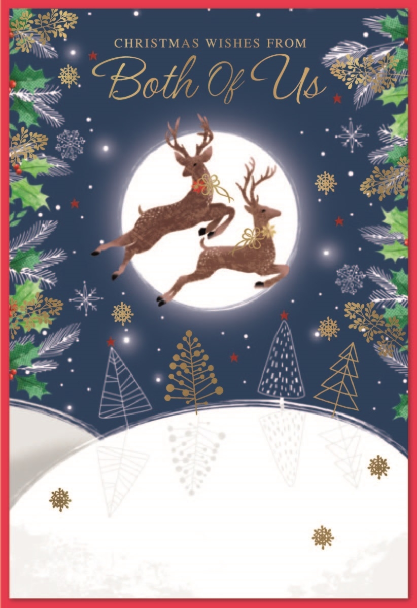 XMAS CARDS,From Both 6`s Jumping Reindeer