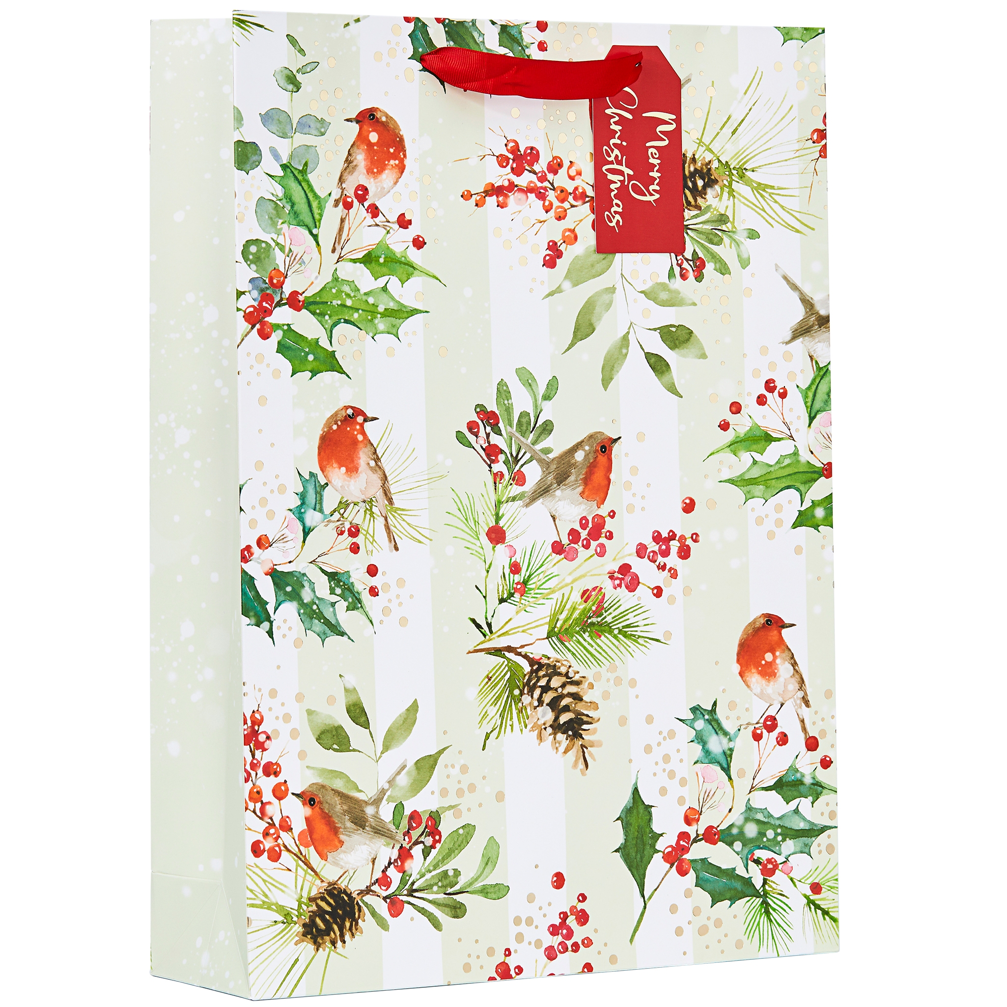 GIFT BAG,Robins (Extra Large) (Was 1.79) [Packs Only]