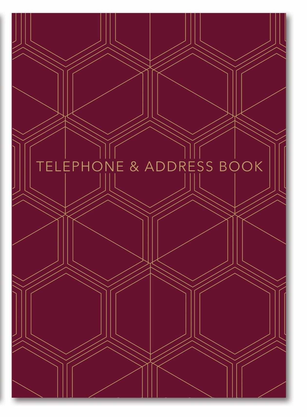 ADDRESS/TELEPHONE BOOK Executive Index Assorted [Splittable]
