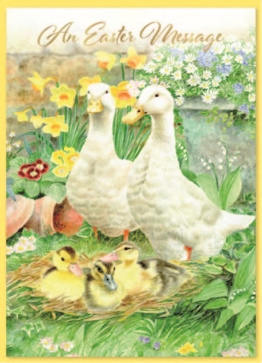 EASTER CARDS,Open 6`s Ducks & Chicks