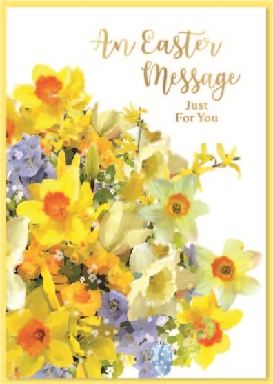 EASTER CARDS,Open 6`s Daffodils