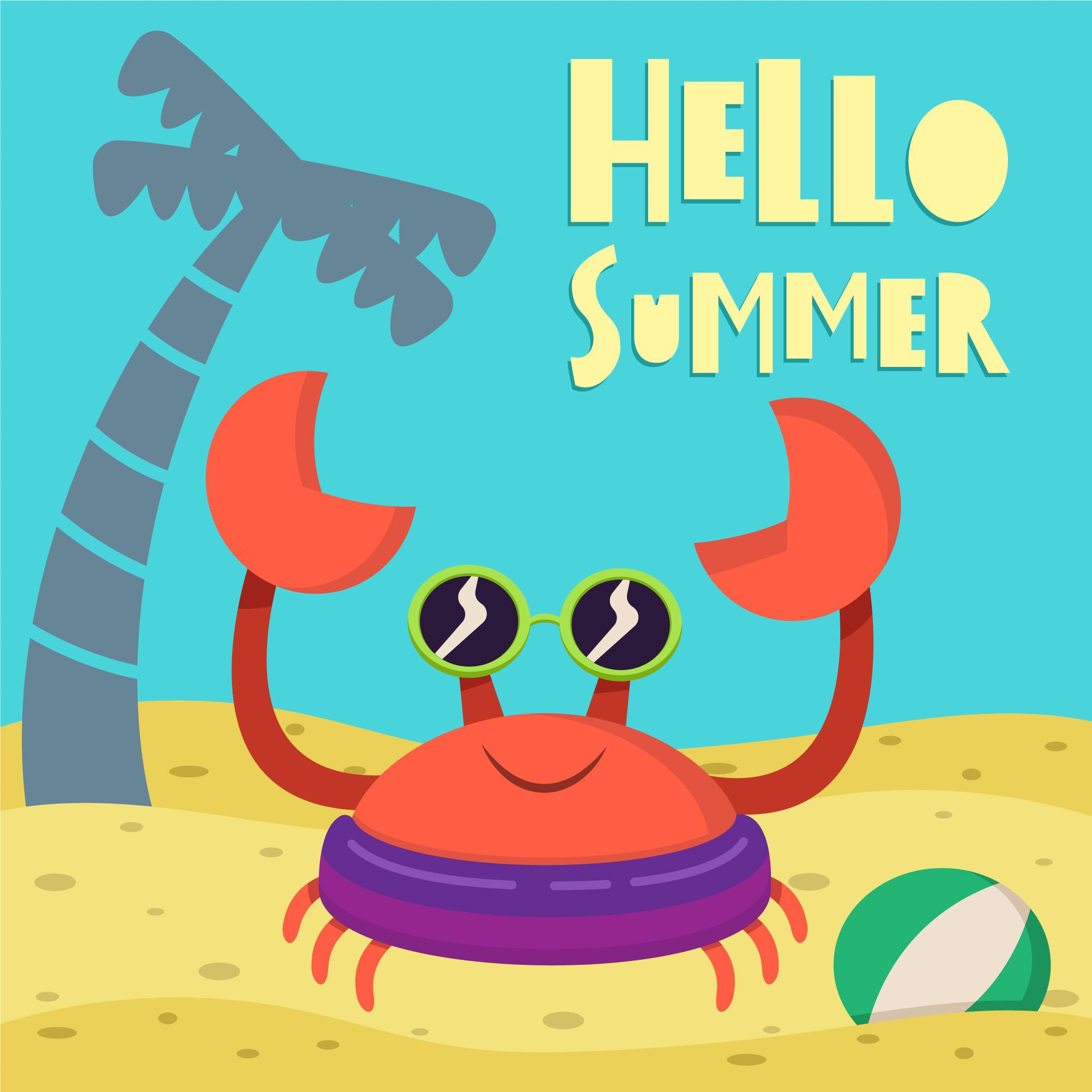 Crab Lines & Fishing Nets