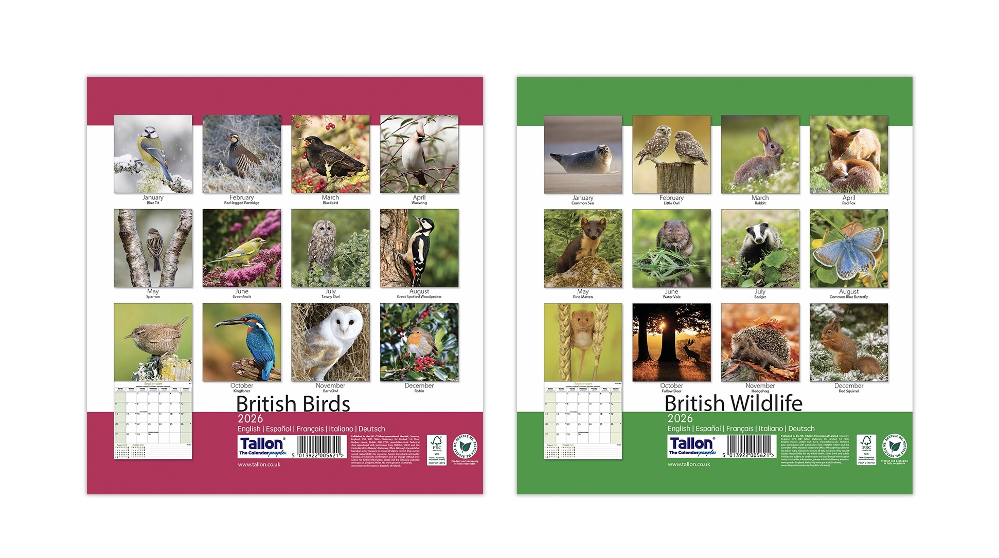 CALENDAR,Square,British Birds & Wildlife Photographic 2026 [Packs Only]