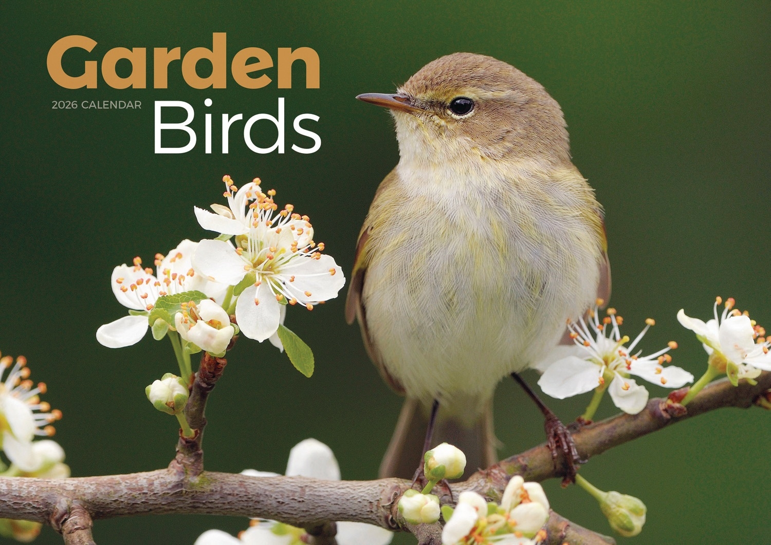 CALENDAR, Garden Birds A4, Opens to A3 [Packs Only]