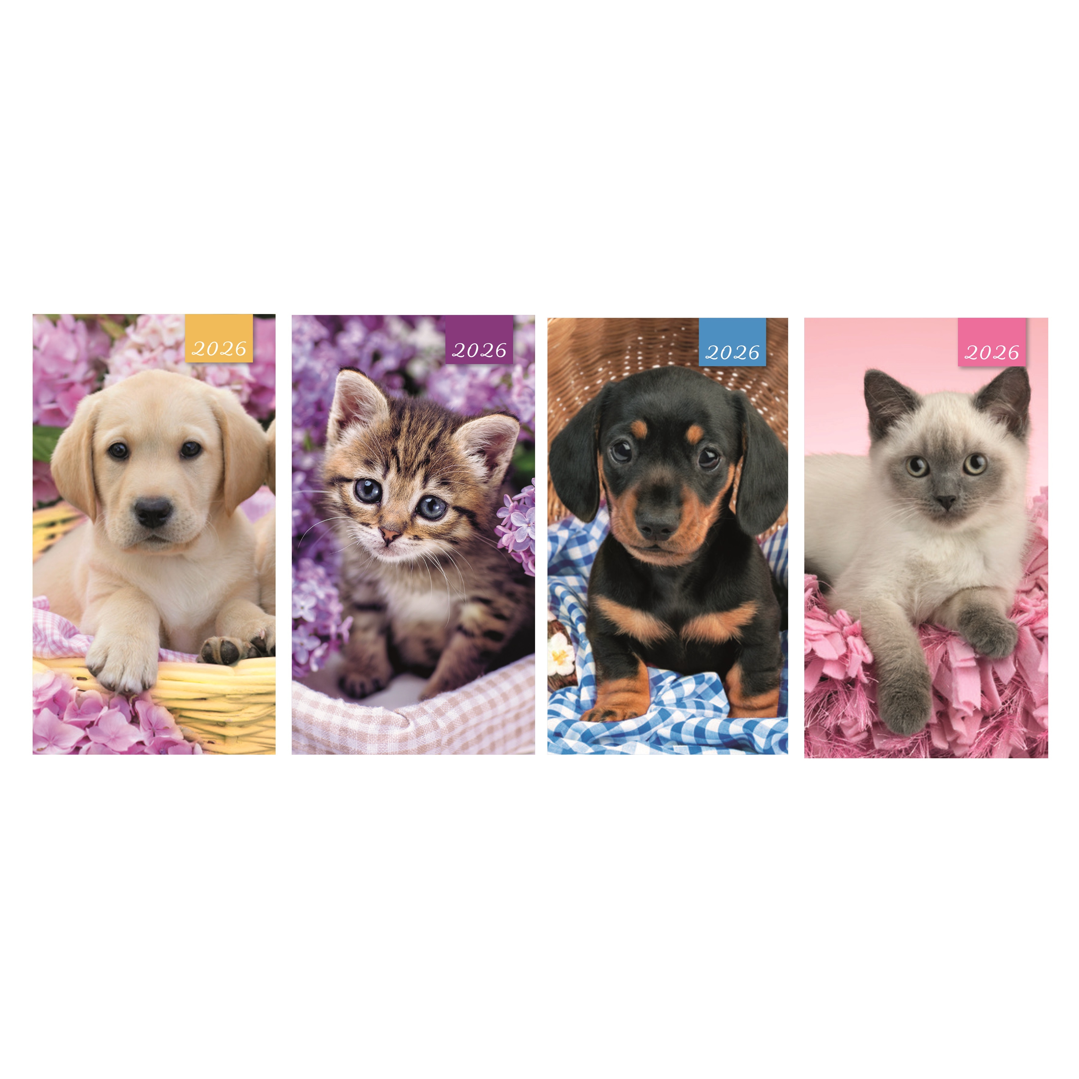 DIARY,Slim,Cats & Dogs Asst Two Weeks to View,2026 CDU [Packs Only]