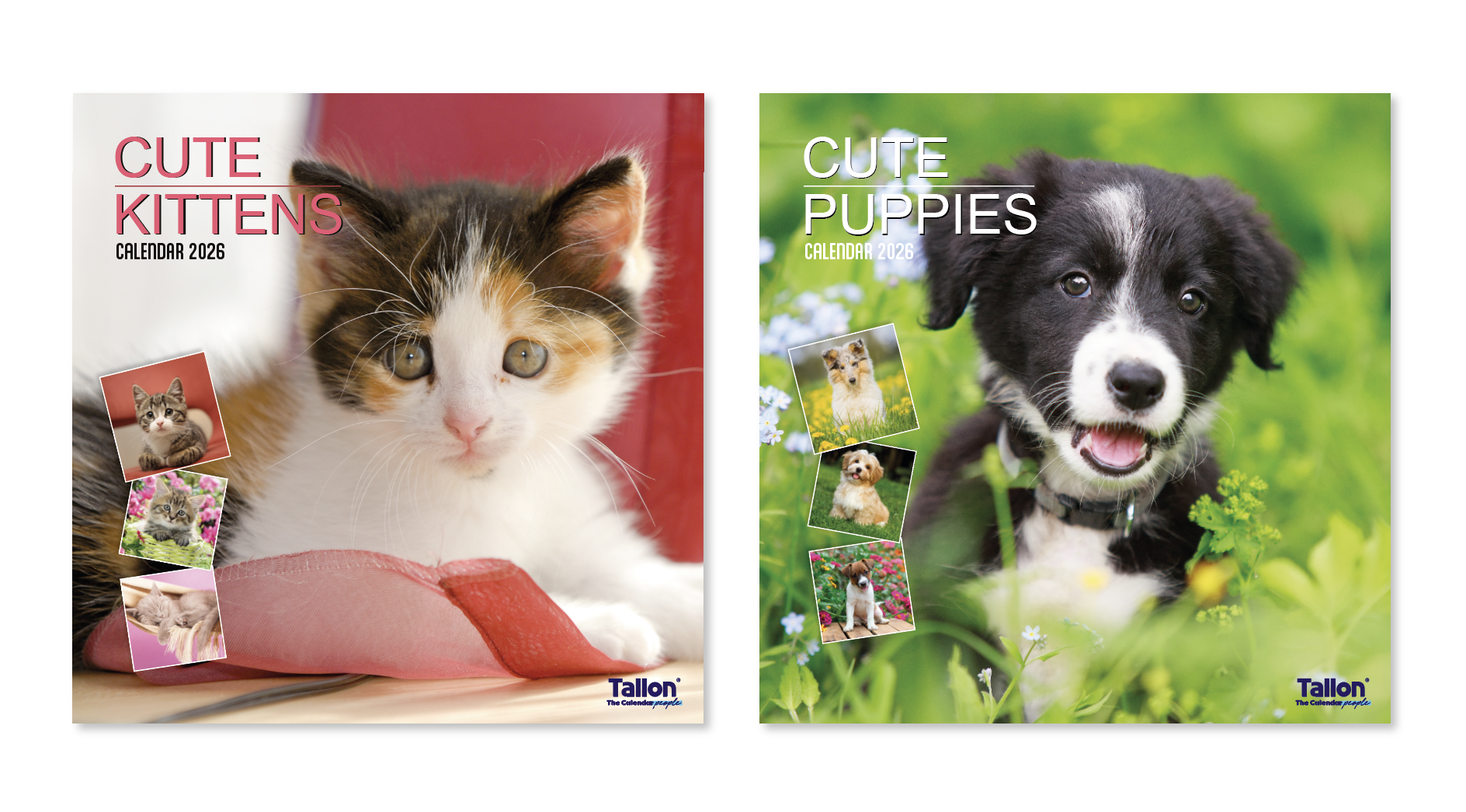 CALENDAR,Square,Kittens & Puppies Photographic 2026 [Packs Only]