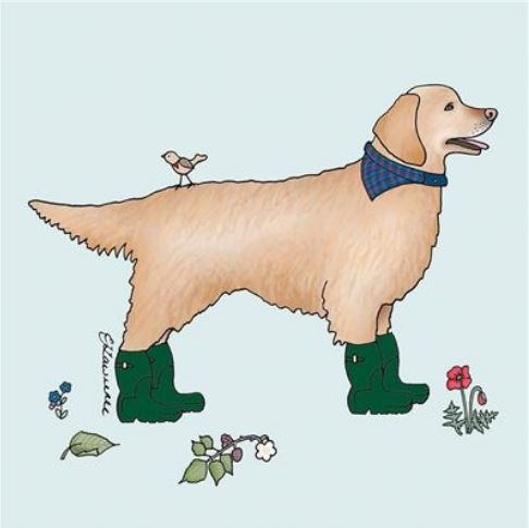 BLANK CARDS,6`s Dog In Boot`s