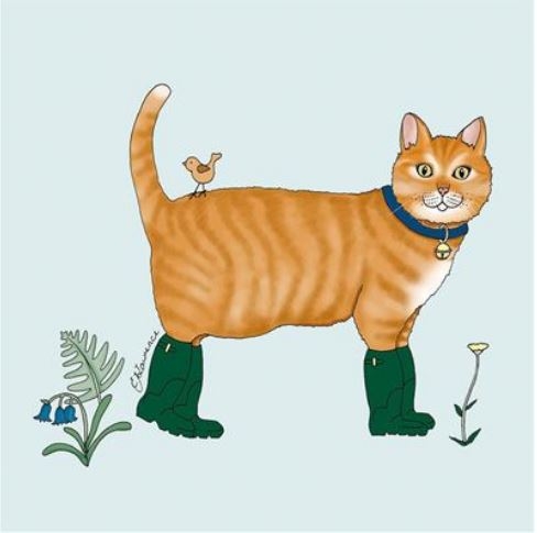 BLANK CARDS,6`s Cat In Boot`s