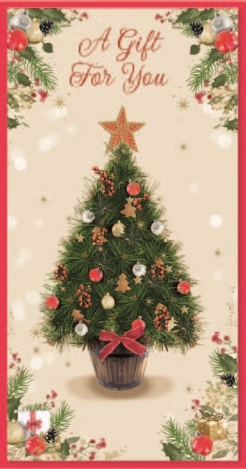 XMAS MONEY WALLETS, Asst. Trad, Contemp, Juv. S. Elvin [Packs Only]