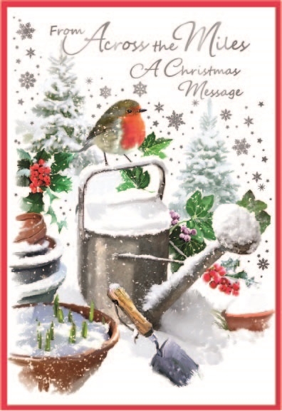 XMAS CARDS,Across the Miles 6`s Robin in Snowy Garden