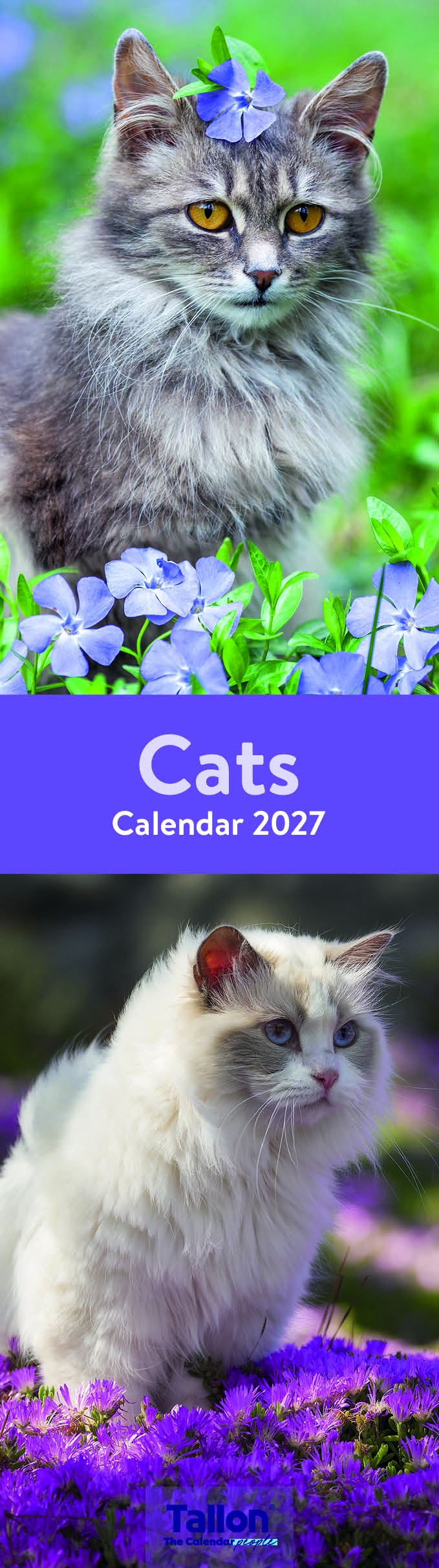 CALENDAR,Slim,Photographic, 8 Asst Animal,Floral etc H/pk [Packs Only]