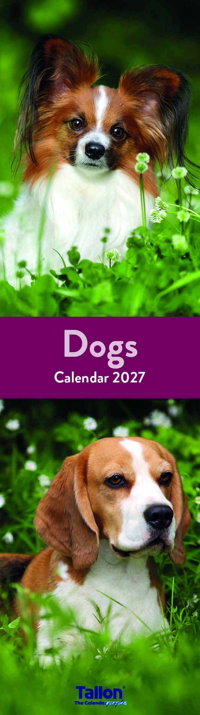 CALENDAR,Slim,Photographic, 8 Asst Animal,Floral etc H/pk [Packs Only]