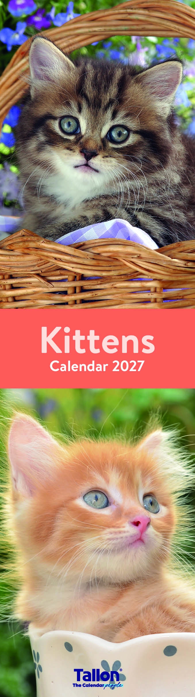 CALENDAR,Slim,Photographic, 8 Asst Animal,Floral etc H/pk [Packs Only]