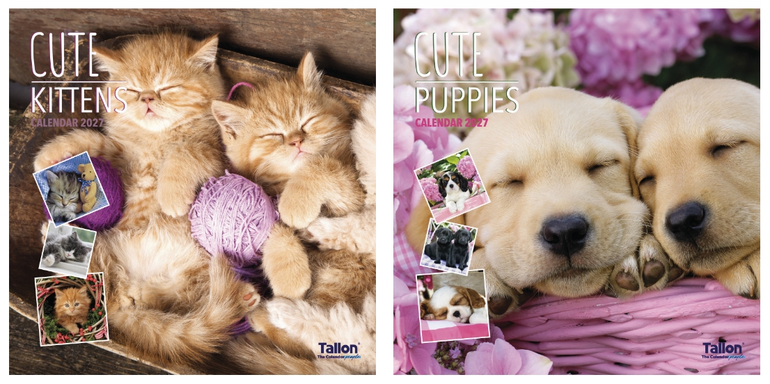 CALENDAR,Square,Kittens & Puppies Photographic 2027 [Packs Only]