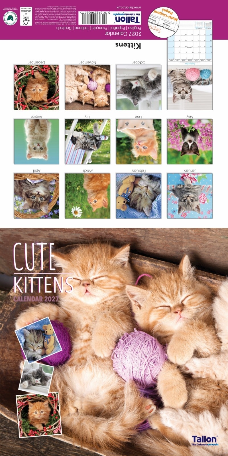CALENDAR,Square,Kittens & Puppies Photographic 2027 [Packs Only]