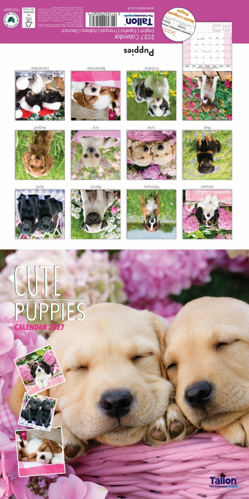 CALENDAR,Square,Kittens & Puppies Photographic 2027 [Packs Only]