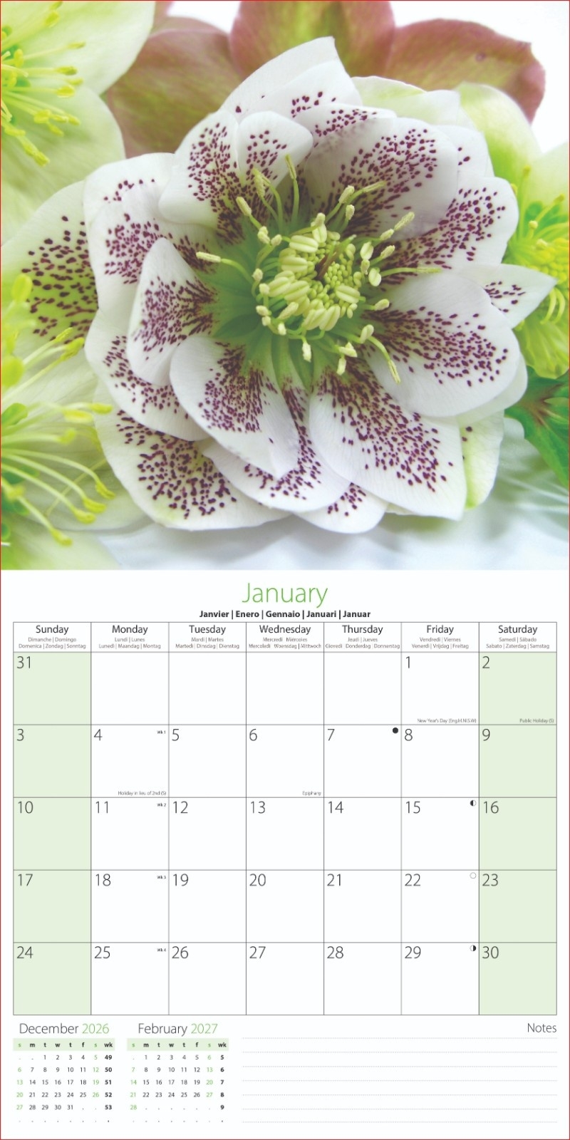 CALENDAR,Square,Flowers, Gardens & Bouquets 2026 [Packs Only]