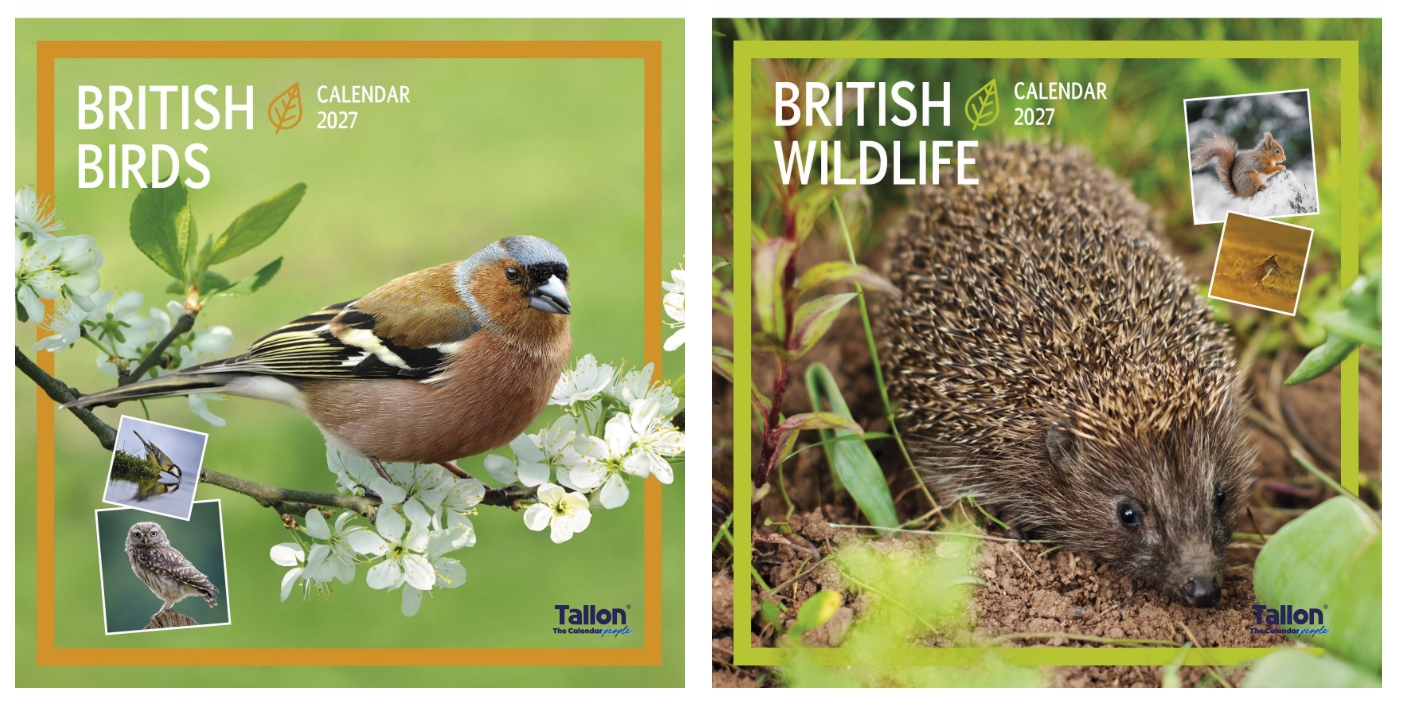 CALENDAR,Square,British Birds & Wildlife Photographic 2027 [Packs Only]