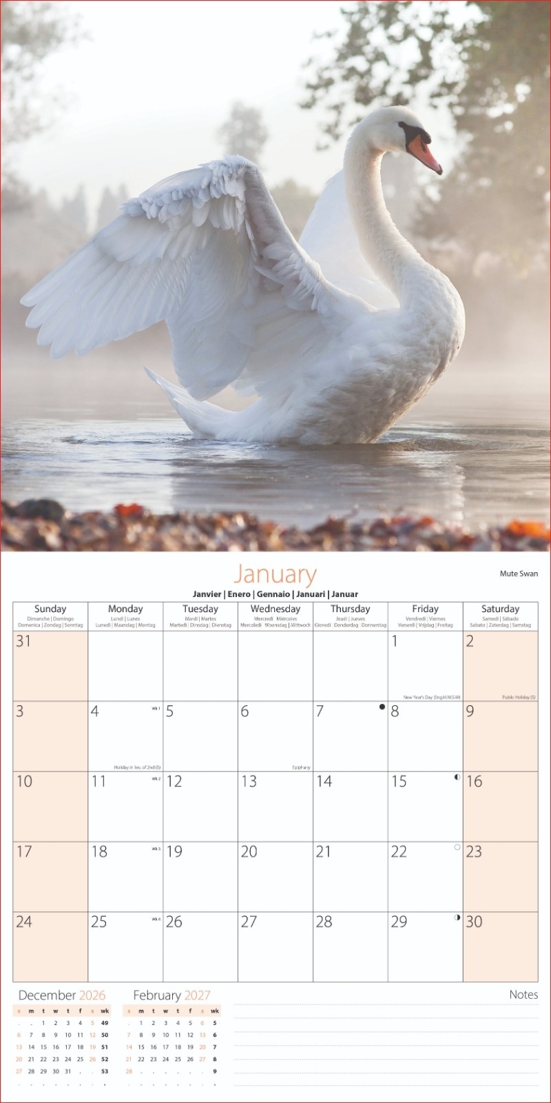 CALENDAR,Square,British Birds & Wildlife Photographic 2027 [Packs Only]