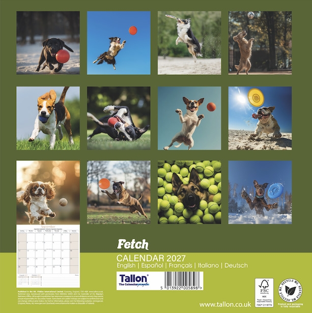 CALENDAR,Square,Go Fetch Photographic 2027 [Packs Only]