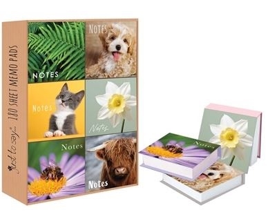 MEMO CUBE,Photographic 180 Sheets Assorted Designs [Splittable]