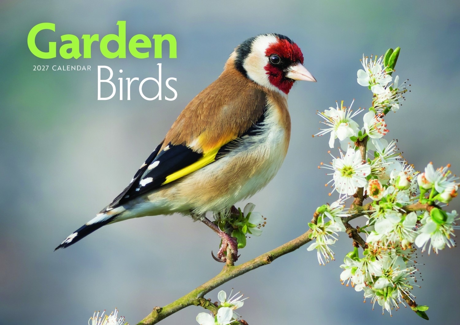 CALENDAR, Garden Birds A4, Opens to A3 [Packs Only]
