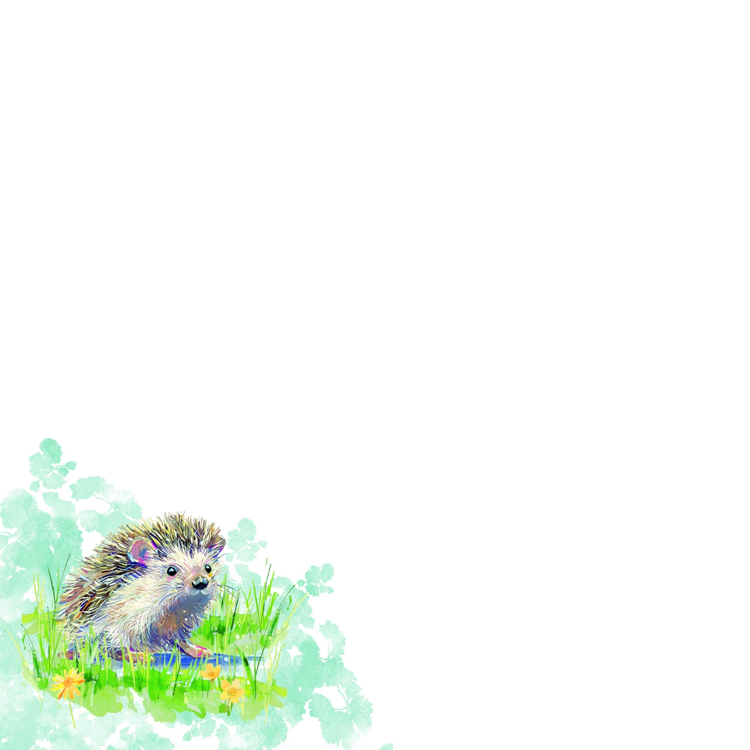 NOTE BLOCK,The Wildlife