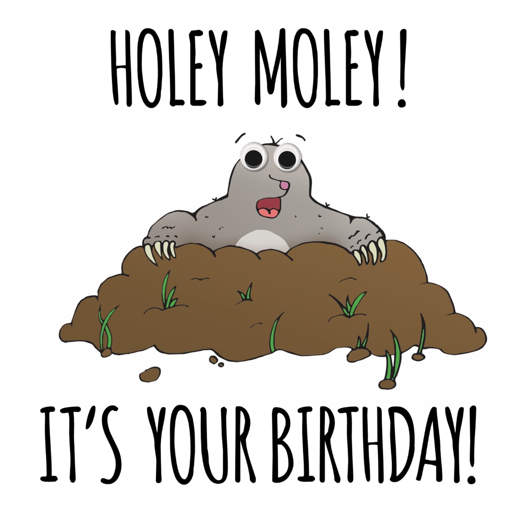 BIRTHDAY CARDS,Googly Eye,Holey Moley! It`s Your Birthday [Packs Only]