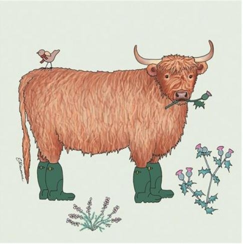 BLANK CARDS, Cow In Boot`s [Packs Only]