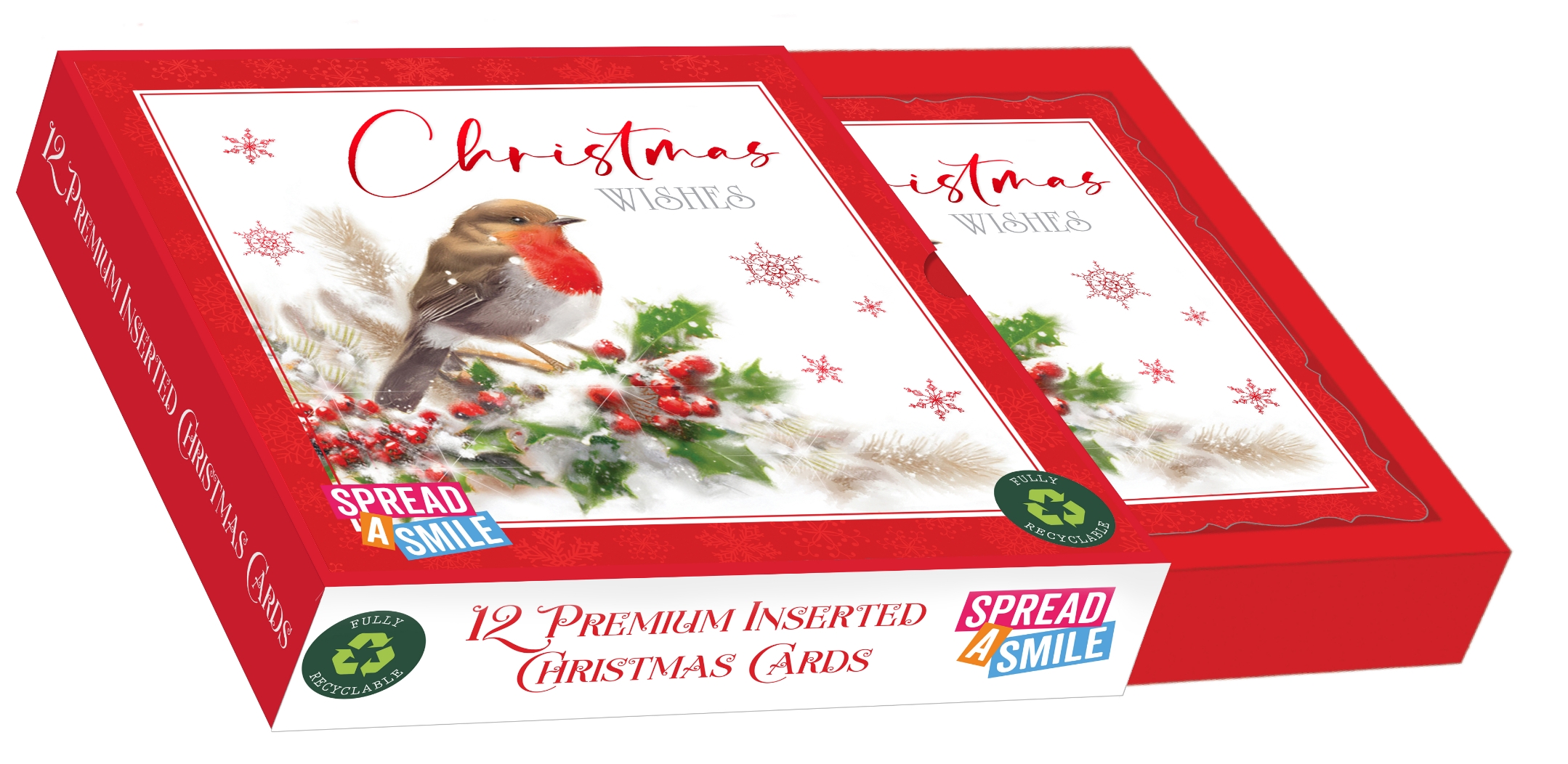 BOXED CARDS,Premium,Winter Robin Square 10`s [Splittable]