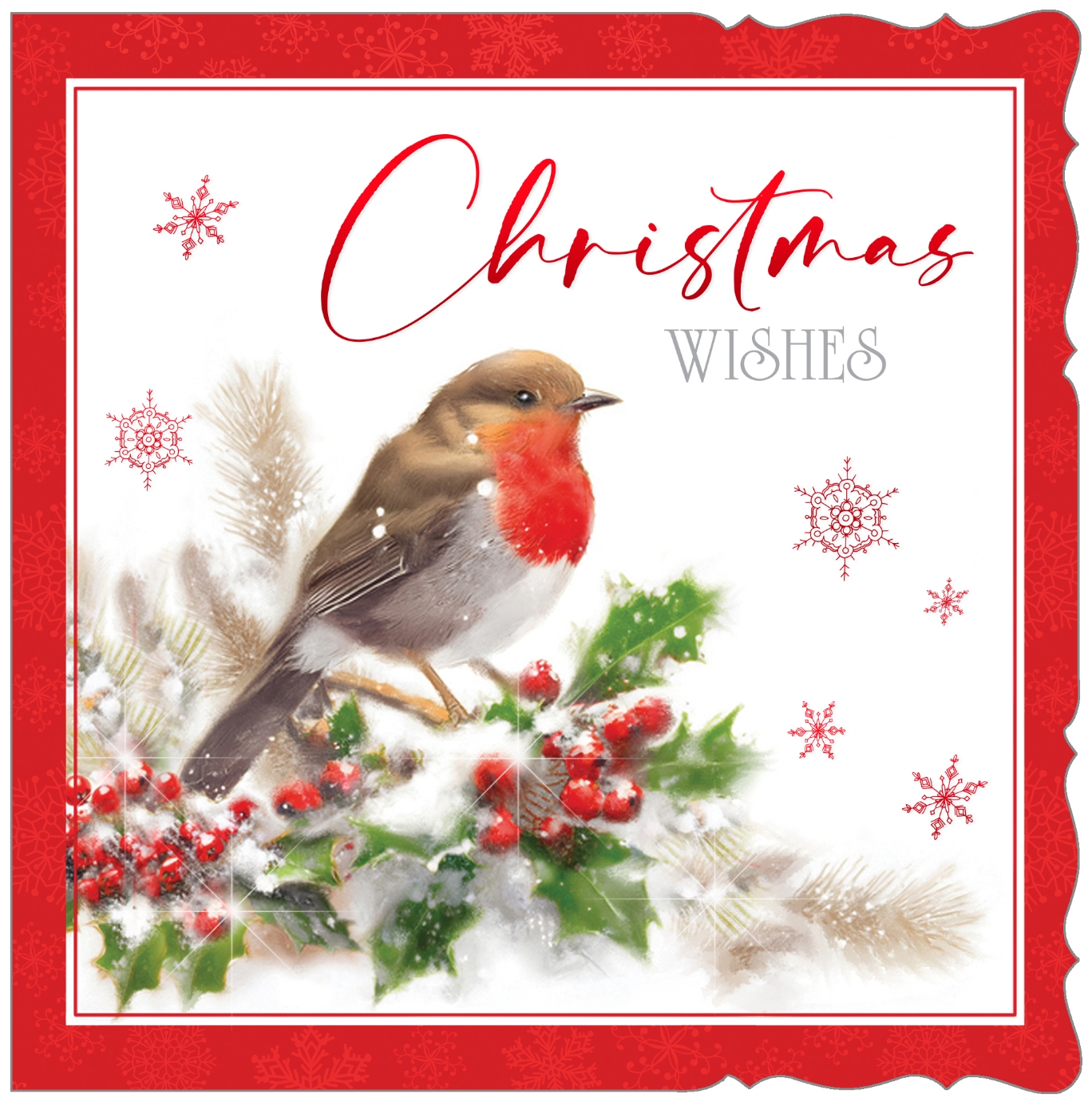 BOXED CARDS,Premium,Winter Robin Square 10`s [Splittable]