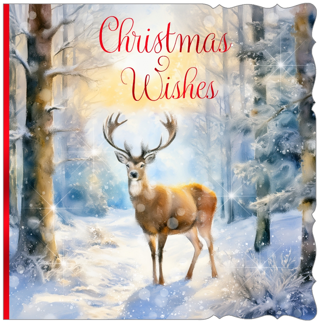 BOXED CARDS,Premium,Woodland Visit Square 10`s [Splittable]