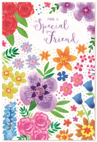 SPECIAL FRIEND CARDS,6`s Floral