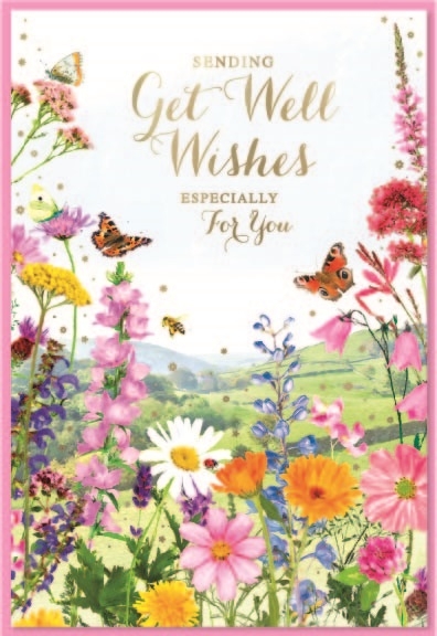 GET WELL CARDS,6`s Wild Flowers & Butterflies