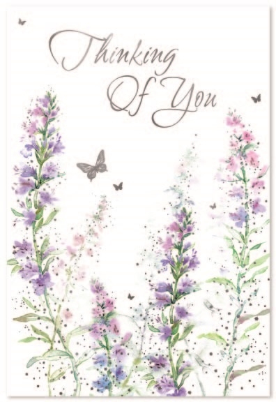 THINKING OF YOU CARDS,6`s Wild Flowers