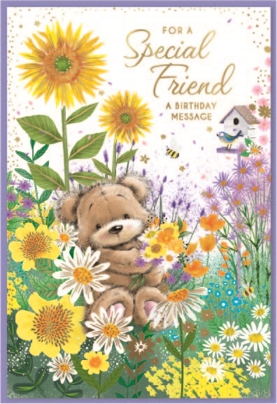 SPECIAL FRIEND CARDS,6`s Teddy in Flowerbed