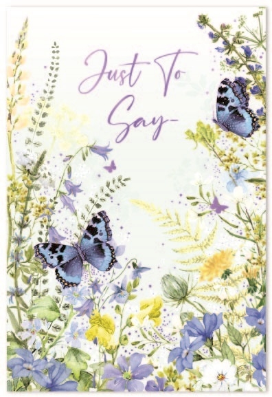 BLANK CARDS,Open 6`s Wild Flowers & Butterflies