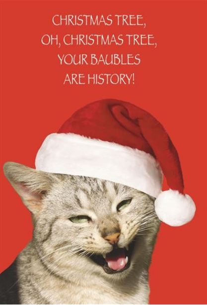 BLANK CARDS,Humour Funimals Xmas Cat [Packs Only]