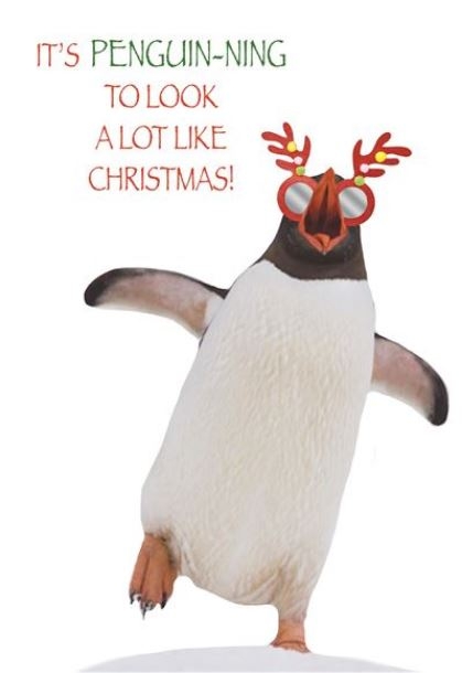 BLANK CARDS,Humour Funimals Xmas Penguin [Packs Only]