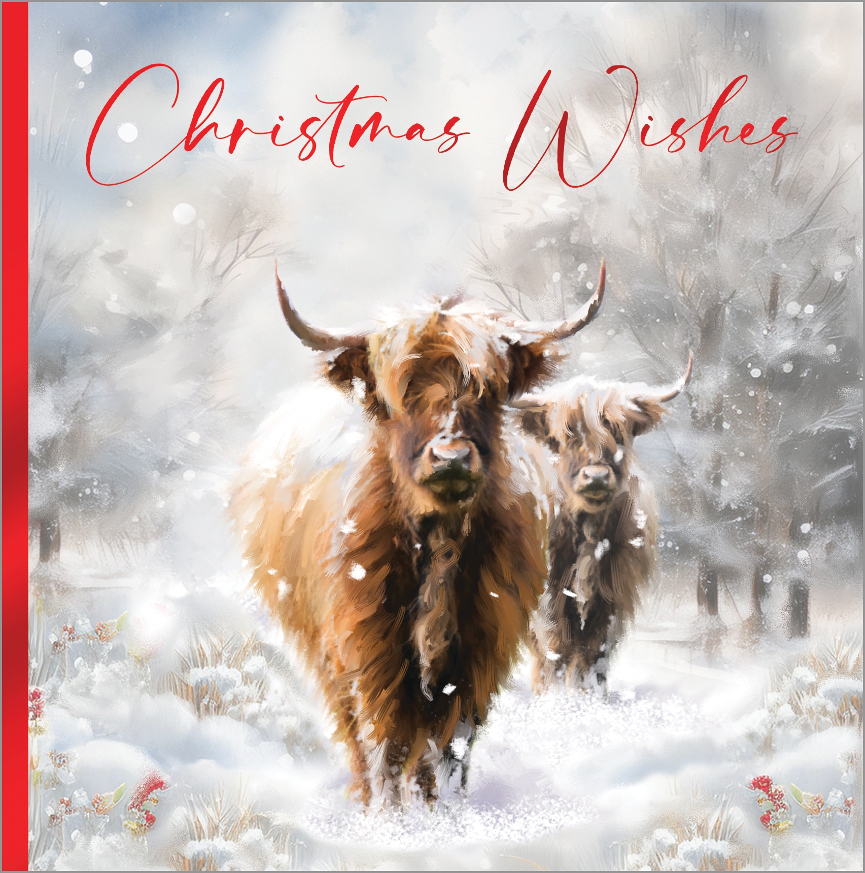 BOXED CARDS,Luxury,Snowy Meadow 24`s (Bulk) [Packs Only]