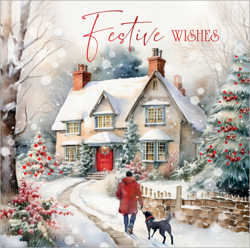 BOXED CARDS,Luxury,A Winter Walk 24`s [Splittable]