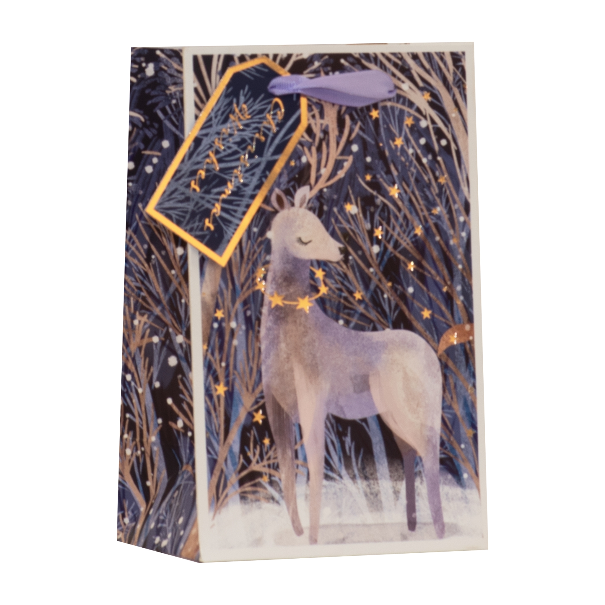 GIFT BAG,Magical Reindeer (Small) [Packs Only]