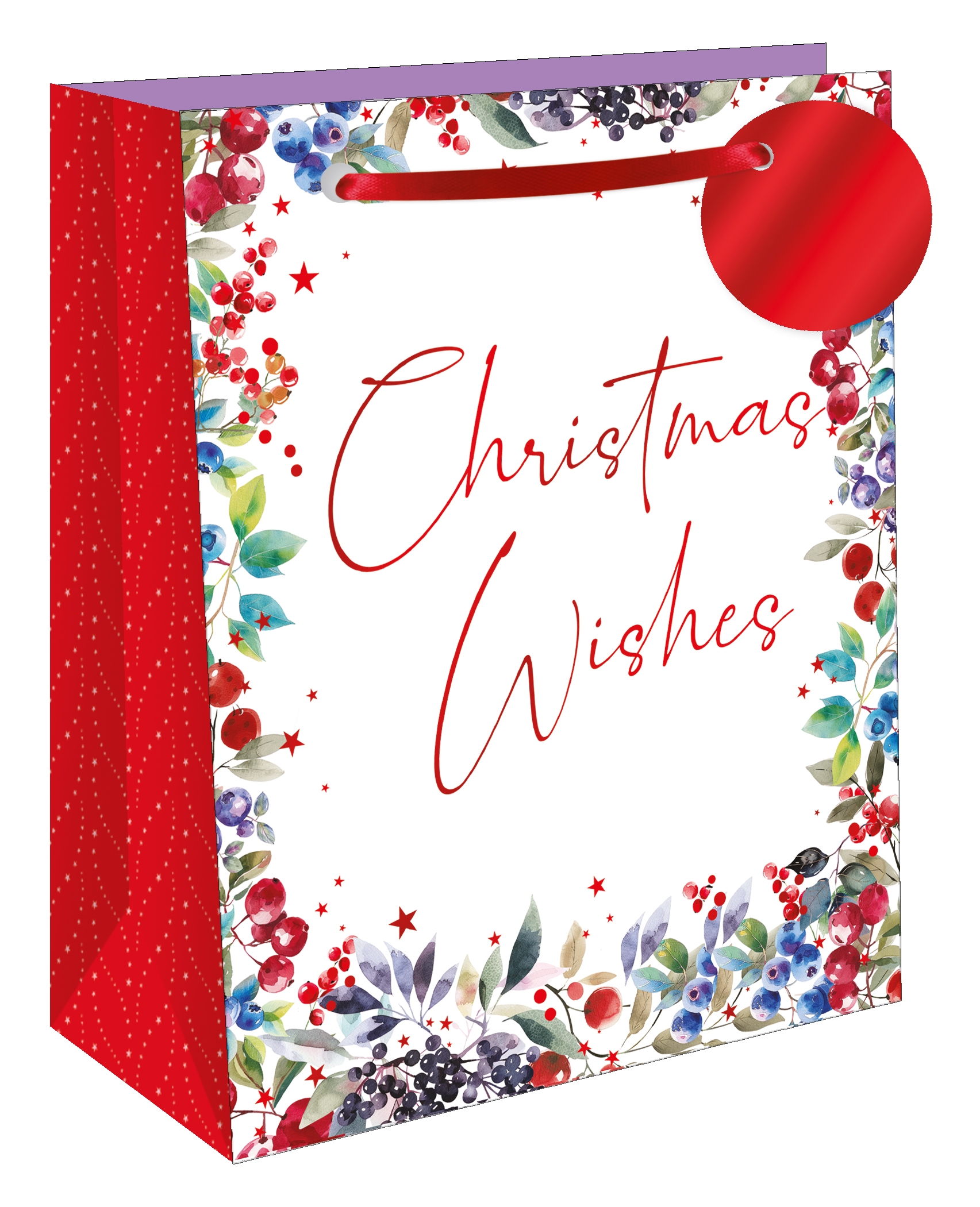 GIFT BAG,Christmas Wishes (Large) [Packs Only]