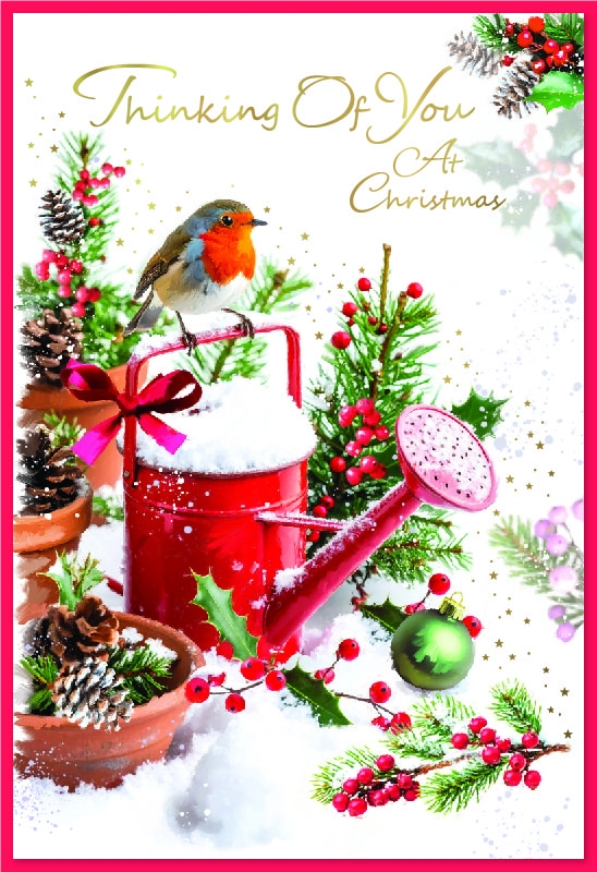 XMAS CARDS,Thinking of You, Robin on Watering Can [Packs Only]