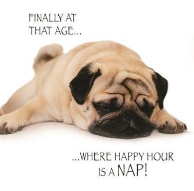 BLANK CARDS,Humour Funimals Happy Hour [Packs Only]