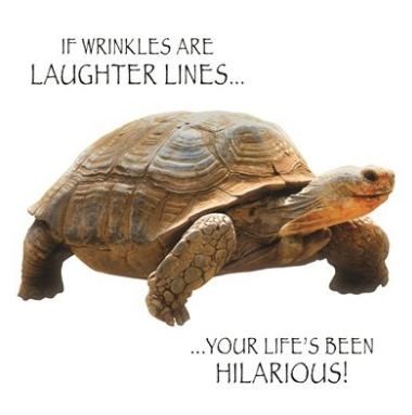 BLANK CARDS,Humour Funimals Laughter Lines [Packs Only]