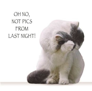BLANK CARDS,Humour Funimals Oh No, Not Pics [Packs Only]