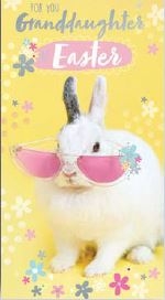 EASTER CARDS,Granddaughter Bunny In Sunglasses [Packs Only]